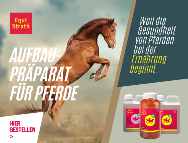 Schmerzmittel Für Pferde Vom Tierarzt www.tiergesund.ch