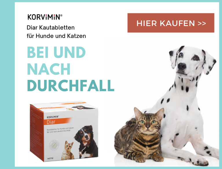 Korvimin Diar Kautabletten